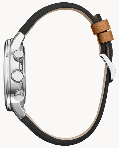 Citizen Avion