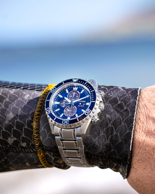 Citizen Promaster Dive