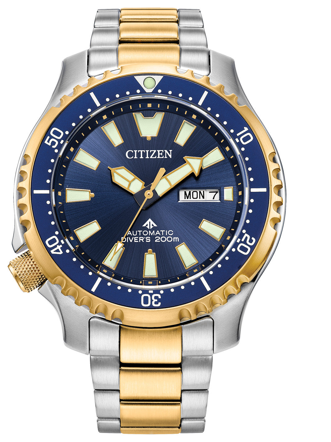 Citizen - Promaster Dive