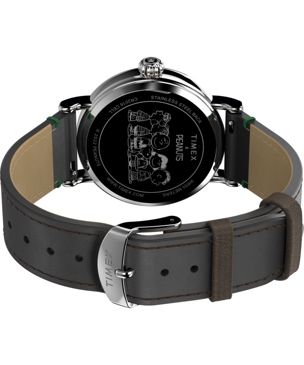 Timex Standard x Peanuts Featuring Snoopy Winter TW2V60700 watch, view 5